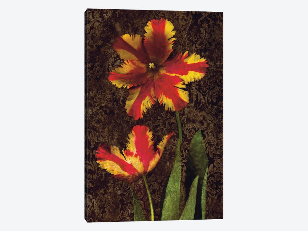 Decorative Tulips II by John Seba 1-piece Canvas Art Print