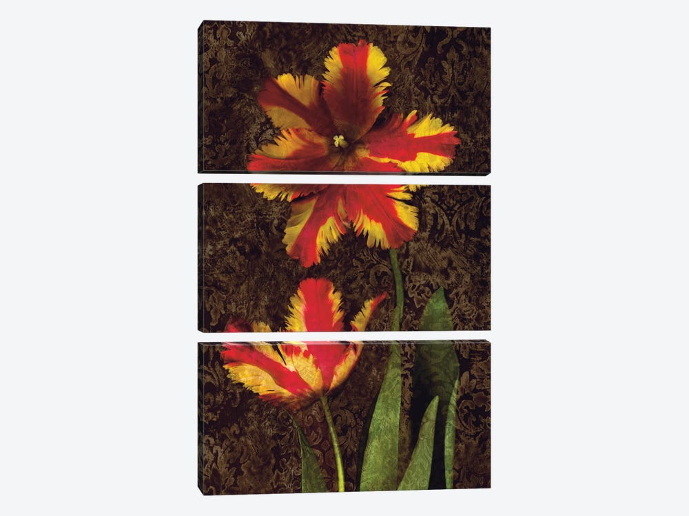 Decorative Tulips II 3-piece Canvas Print