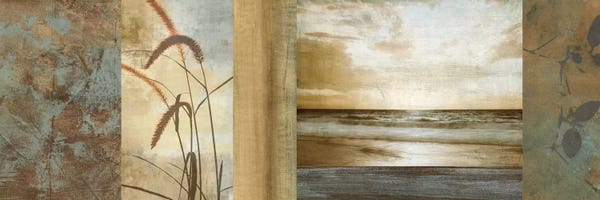 John Seba: Del Mar I by John Seba