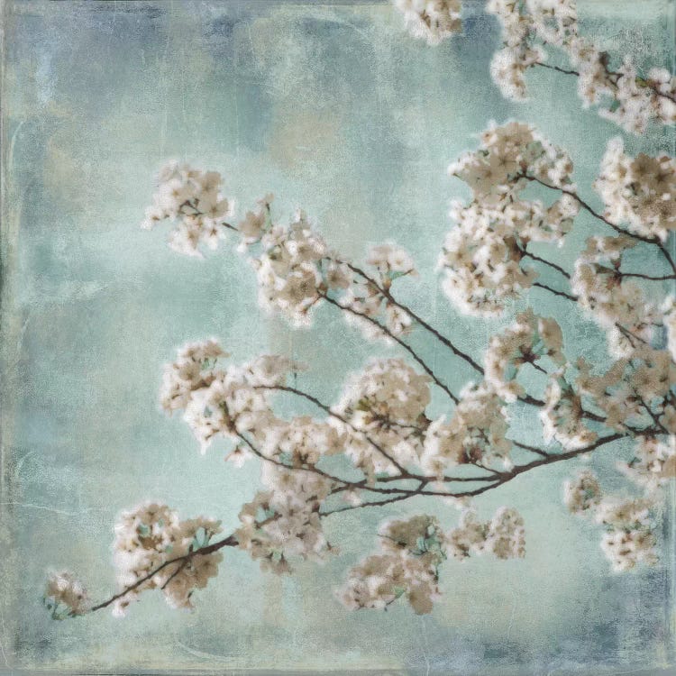Aqua Blossoms I by John Seba wall art