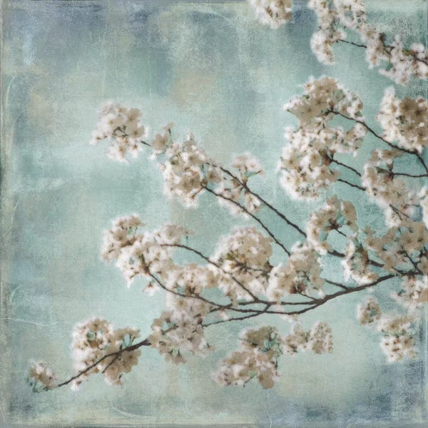 John Seba: Aqua Blossoms I by John Seba