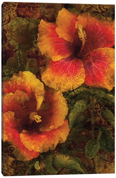 Hibiscus I Canvas Art Print - Hibiscus Art