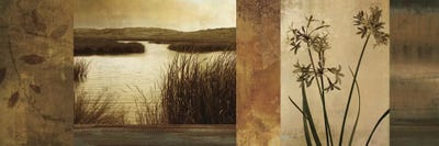 Laguna I by John Seba acrylic art print