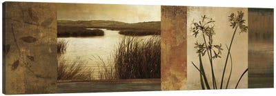Laguna I Canvas Art Print - Marsh & Swamp Art