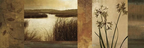 John Seba: Laguna I by John Seba