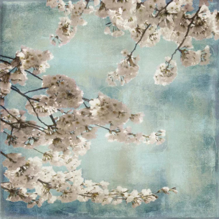 Aqua Blossoms II by John Seba wall art