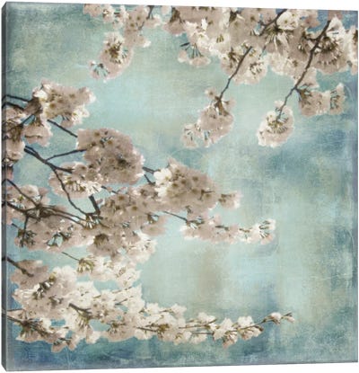 Aqua Blossoms II Canvas Art Print - Cherry Blossom Art