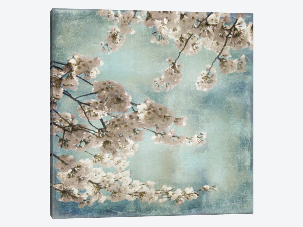 Aqua Blossoms II by John Seba 1-piece Canvas Print