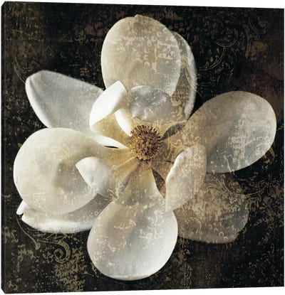Magnolia I Canvas Art Print - Floral Close-Up Art