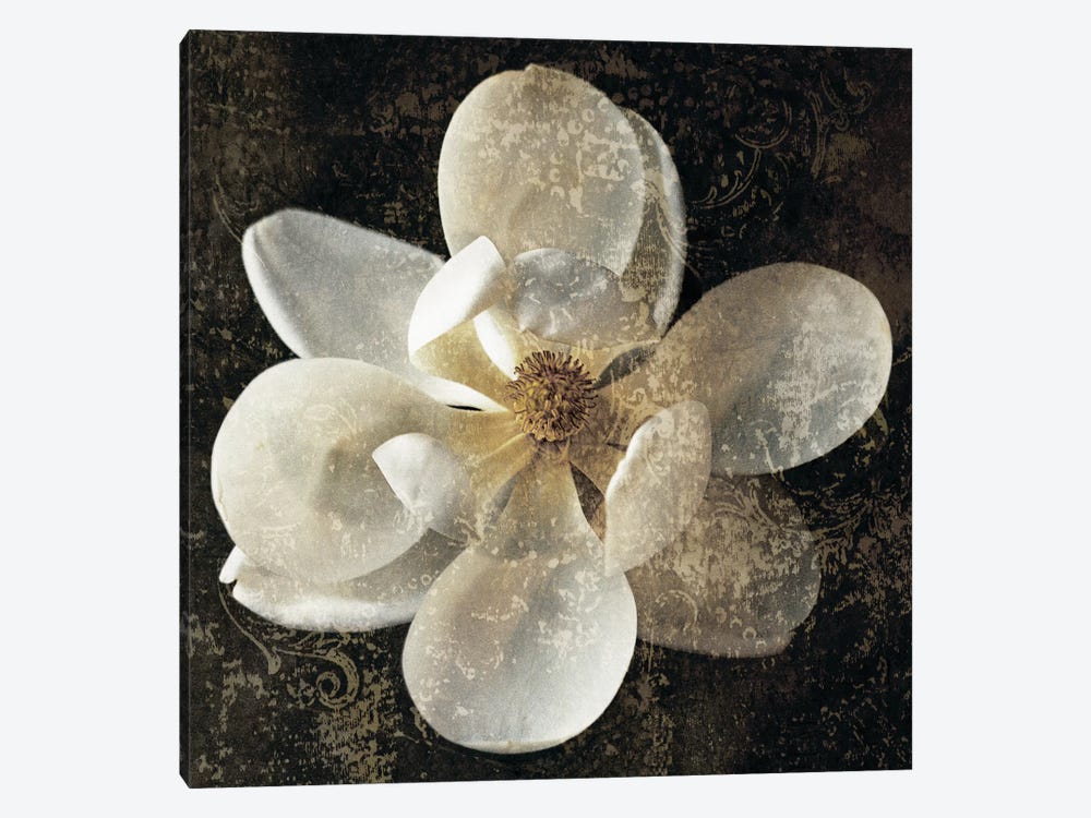 Magnolia I by John Seba 1-piece Art Print