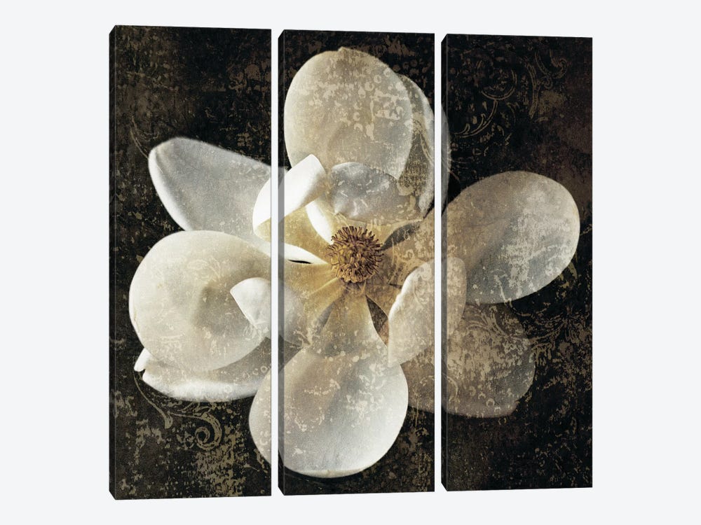 Magnolia I by John Seba 3-piece Canvas Print