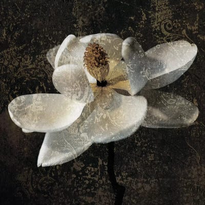 Magnolia II by John Seba multi panel art