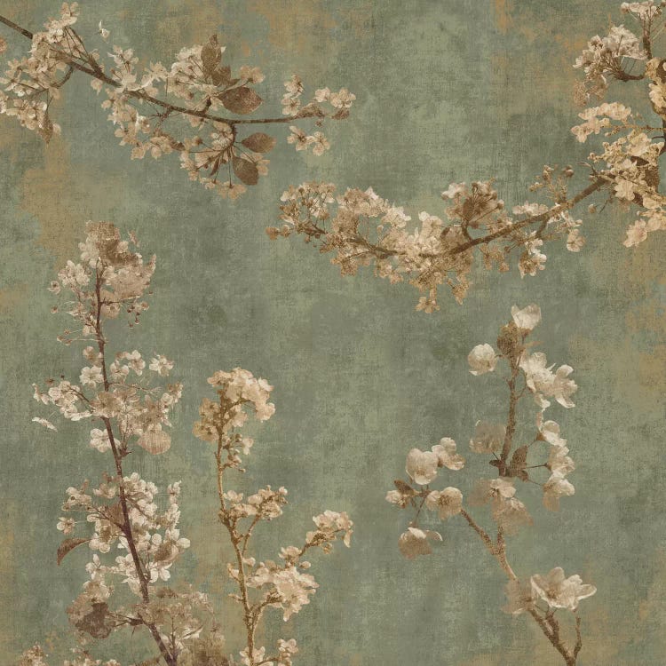 Morning Blossom I by John Seba wall art