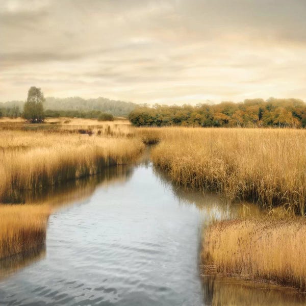 John Seba: Morning Calm I by John Seba