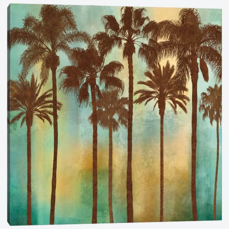 Aqua Palms I Canvas Print #JOH4} by John Seba Canvas Print