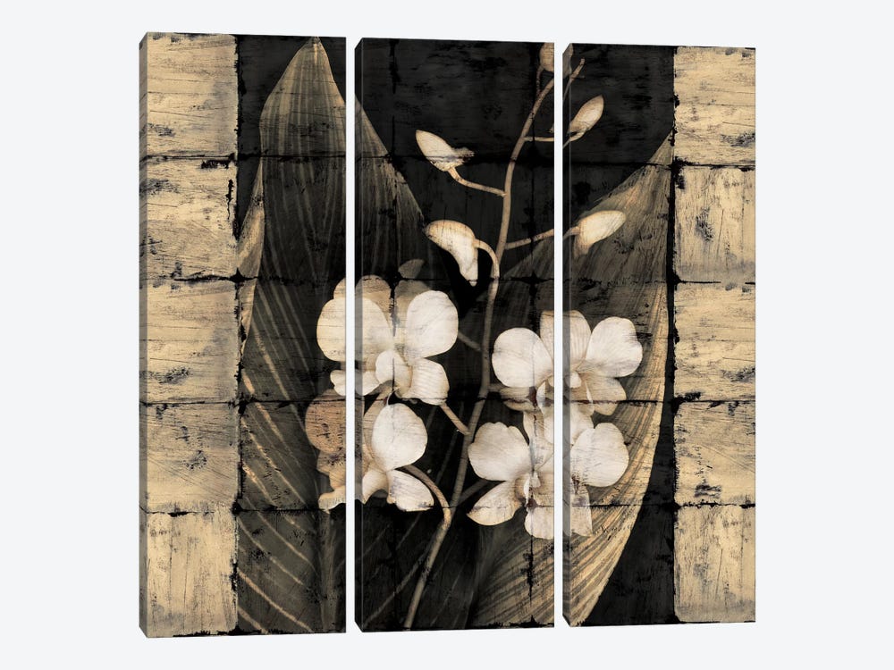 Orchids In Bloom I by John Seba 3-piece Canvas Print
