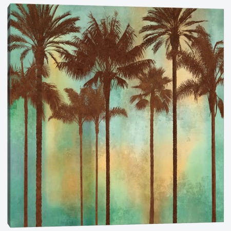Aqua Palms II Canvas Print #JOH5} by John Seba Canvas Print