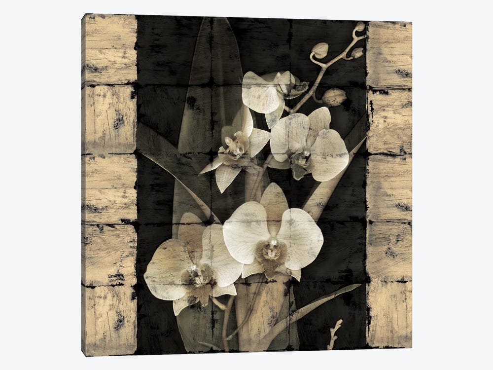 Orchids In Bloom II by John Seba 1-piece Art Print