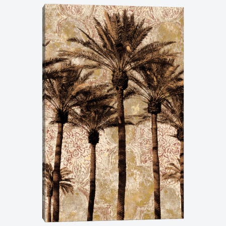 Palm Collage II Canvas Print #JOH62} by John Seba Canvas Artwork