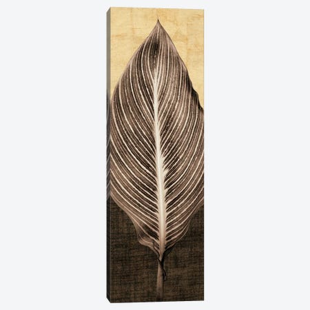 Palm Leaf I Canvas Print #JOH66} by John Seba Canvas Print