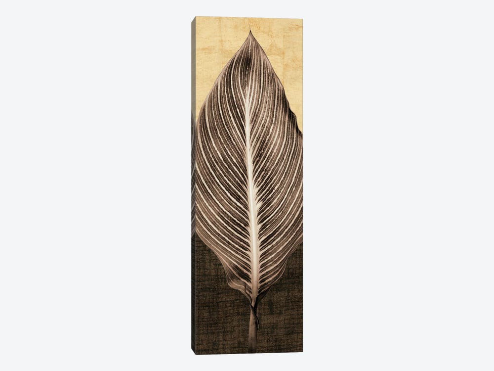Palm Leaf I by John Seba 1-piece Canvas Print