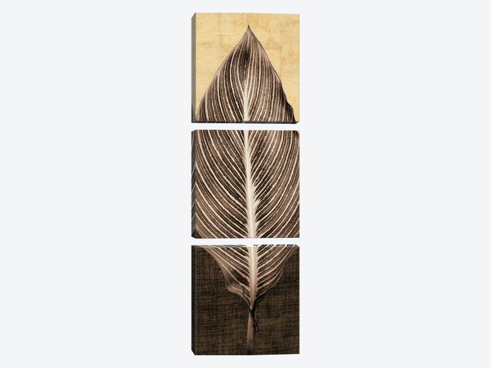Palm Leaf I by John Seba 3-piece Canvas Art Print