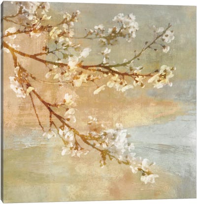 Blossoms On The Pond I Canvas Art Print - John Seba