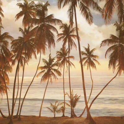 Palms On The Water I by John Seba canvas print