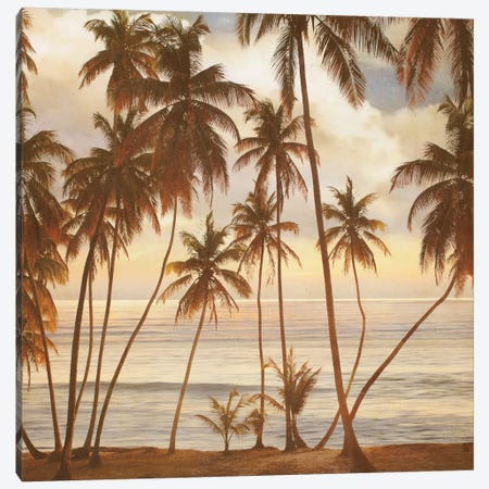 Palms On The Water I Canvas Print #JOH75} by John Seba Canvas Art