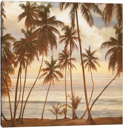 Palms On The Water I Canvas Art Print - John Seba