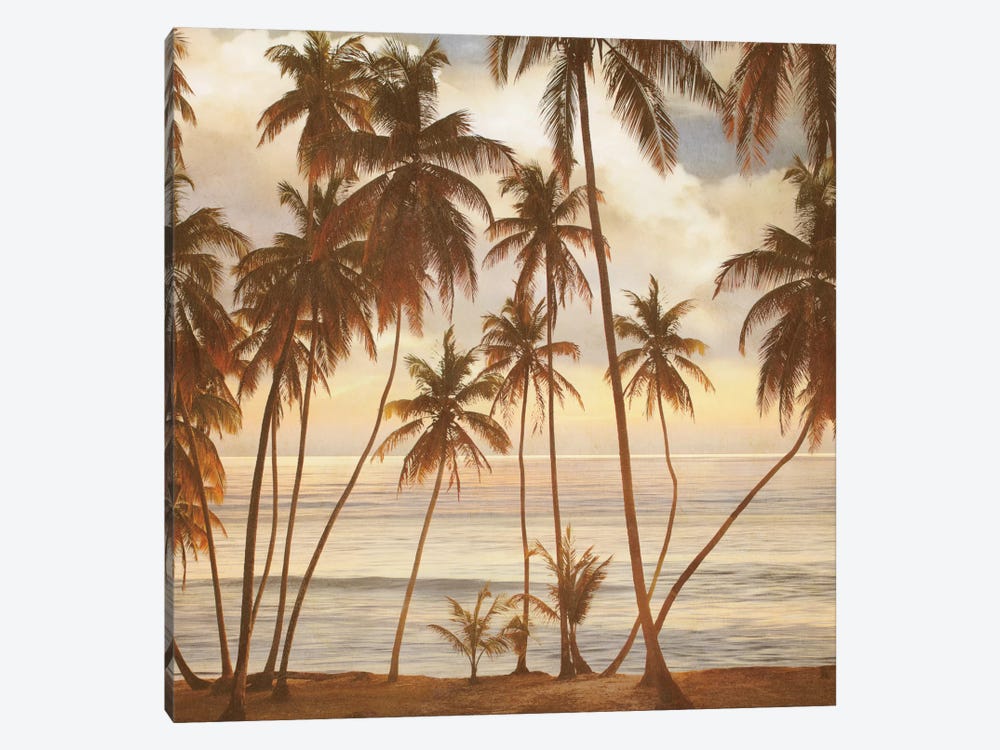 Palms On The Water I by John Seba 1-piece Canvas Print