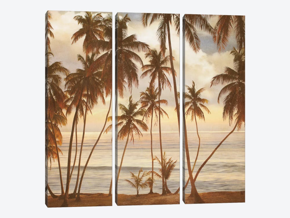 Palms On The Water I by John Seba 3-piece Canvas Print
