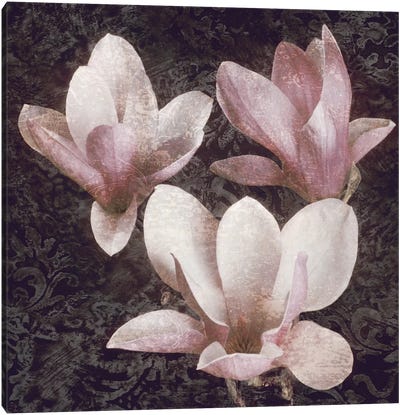 Pink Magnolias II Canvas Art Print - Magnolia Art