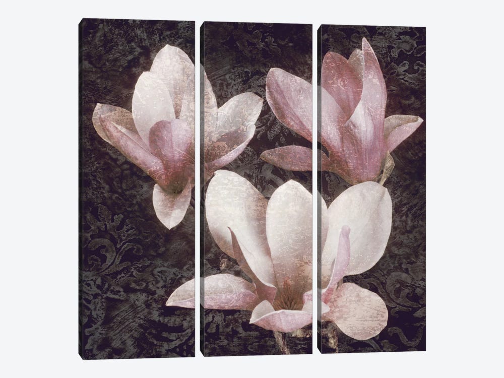 Pink Magnolias II by John Seba 3-piece Canvas Artwork