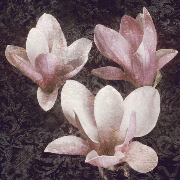John Seba: Pink Magnolias II by John Seba