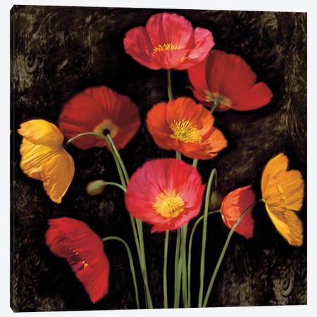 Poppy Bouquet I Canvas Print #JOH85} by John Seba Canvas Print