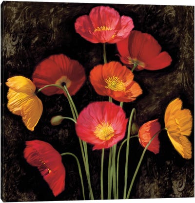 Poppy Bouquet I Canvas Art Print - John Seba