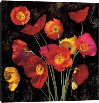 Poppy Bouquet II Canvas Art Print - John Seba