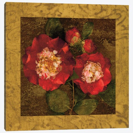 Red Camellias II Canvas Print #JOH90} by John Seba Canvas Print