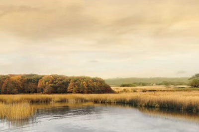 Ripples On The Water by John Seba metal wall art