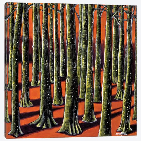 Orange Forest Canvas Print #JOI103} by Joachim Mcmillan Canvas Art Print
