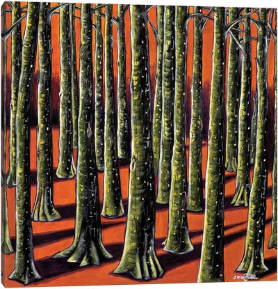 Orange Forest Canvas Art Print - Joachim Mcmillan