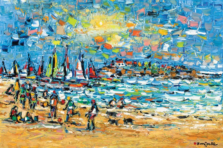 Starlight Bay by Joachim Mcmillan wall art