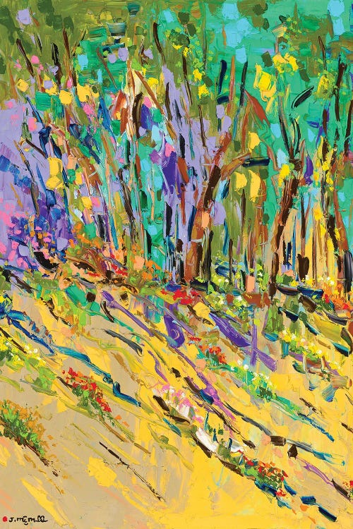 Vibrant by Joachim Mcmillan wall art