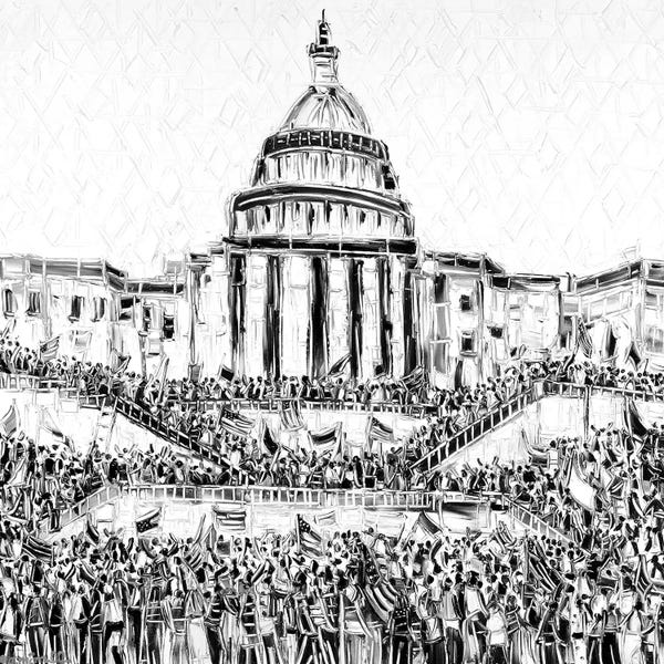 American Décor: Capitol Take Over by Joachim Mcmillan