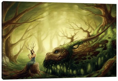 Forgotten Fairytales Canvas Art Print - Dragon Art