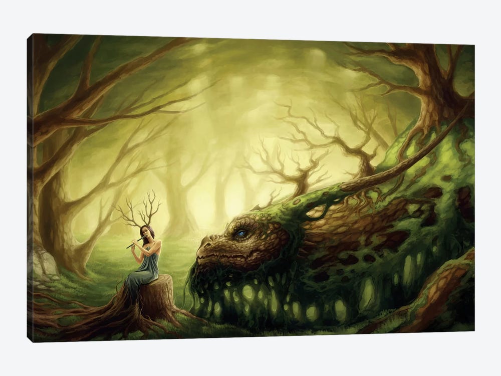 Forgotten Fairytales by JoJoesArt 1-piece Canvas Artwork