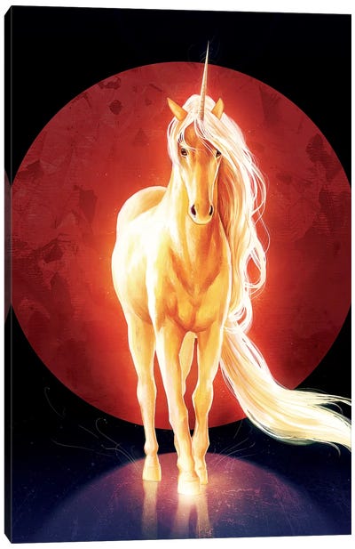 Last Unicorn Canvas Art Print - Mythical Creatures