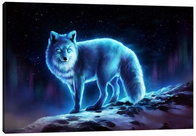 Ice Fox Canvas Art Print - JojoesArt