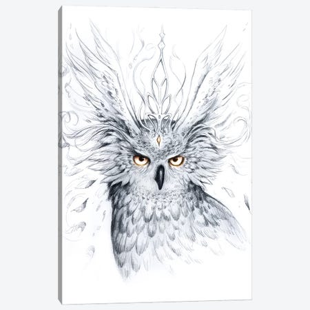 Owl Canvas Print #JOJ42} by JoJoesArt Canvas Artwork